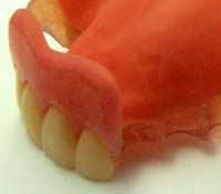 �_�炩�����ꎕ�E�\�t�g�`��